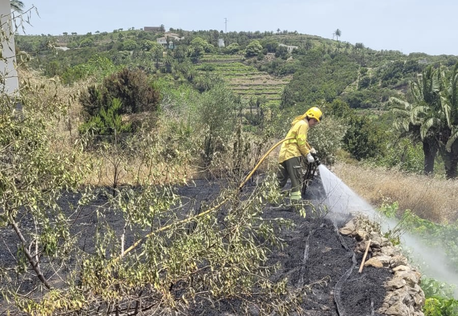 Imagen de Extinguido un conato de incendio declarado este domingo en Las Hayas