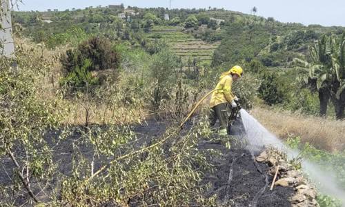 Imagen de Extinguido un conato de incendio declarado este domingo en Las Hayas