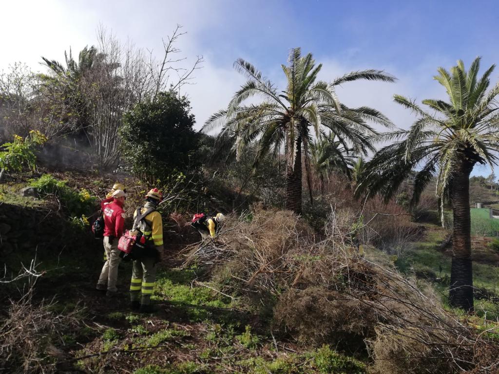 Imagen de El Pleno da luz verde al convenio entre Cabildo y Transición Ecológica para restaurar hábitats degradados