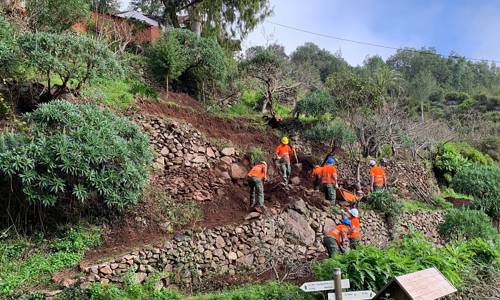 Imagen de El Cabildo ejecuta más de 80 actuaciones para recuperar los bancales de La Gomera