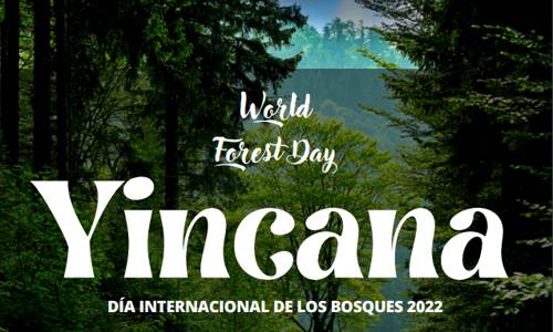 Imagen de La Gomera celebra el Día Internacional de los Bosques con una jornada en Las Nieves