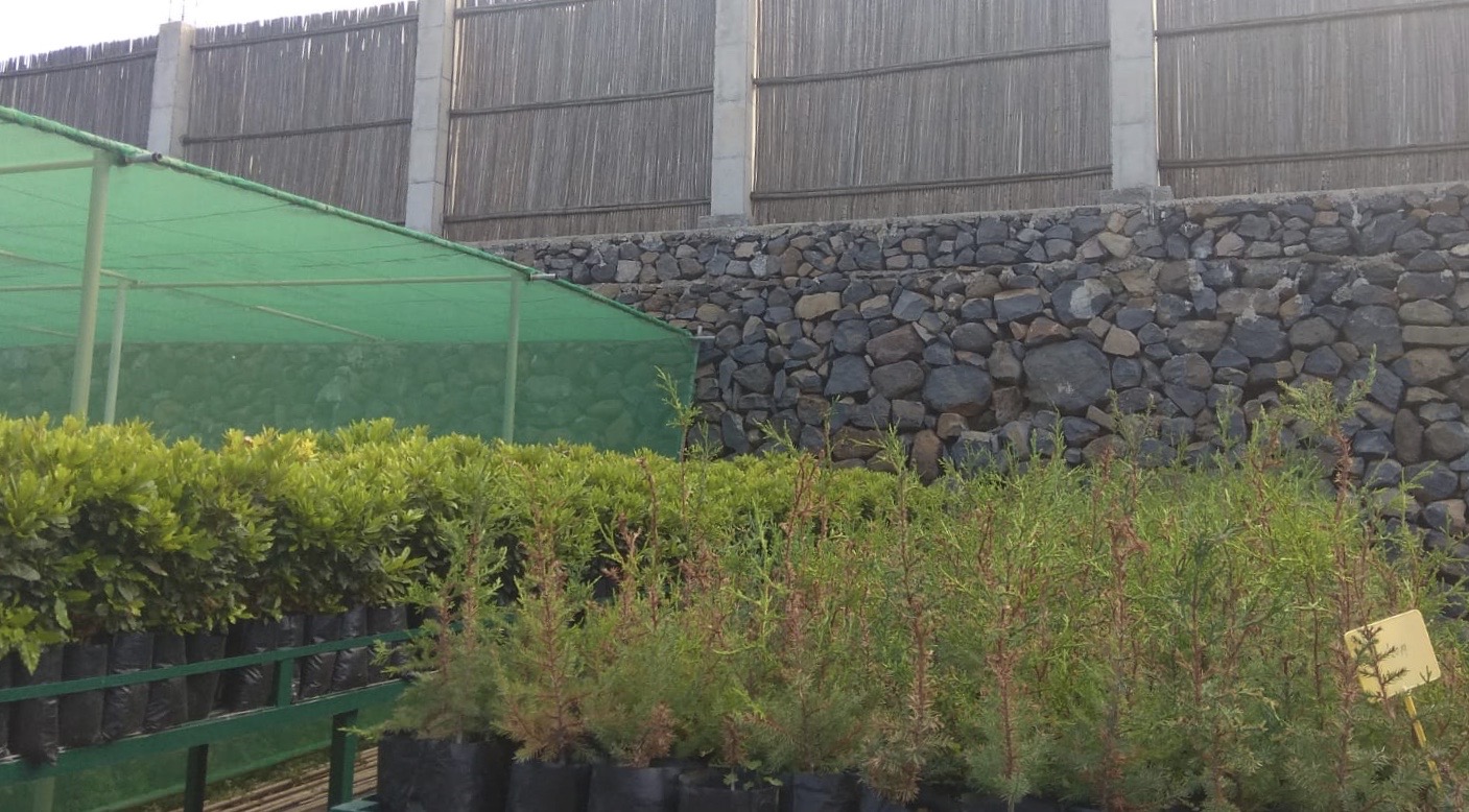 Imagen de La Unidad de Medio Ambiente participa en un curso sobre gestión de especies de flora y hábitats en Canarias
