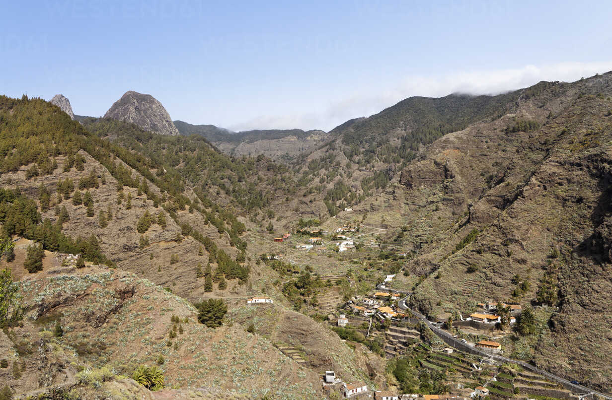 Imagen de El Cabildo ejecuta trabajos de recuperación forestal y creación de cortafuegos húmedos en La Laja