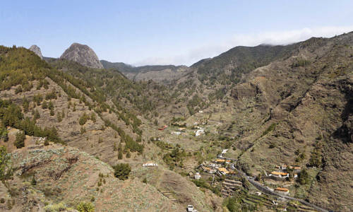 Imagen de El Cabildo ejecuta trabajos de recuperación forestal y creación de cortafuegos húmedos en La Laja