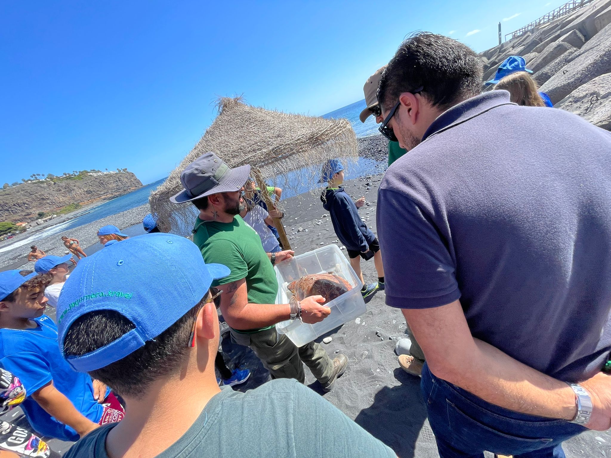 Imagen de Más de una veintena de escolares participan en la suelta de una tortuga en Playa de Santiago