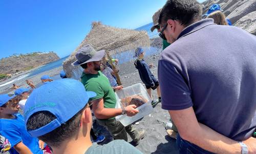 Imagen de Más de una veintena de escolares participan en la suelta de una tortuga en Playa de Santiago