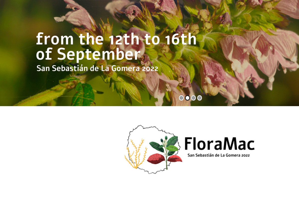 Imagen de La Gomera reúne a los mejores expertos en flora de la Macaronesia en el congreso FloraMac