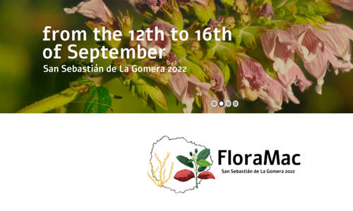 Imagen de La Gomera reúne a los mejores expertos en flora de la Macaronesia en el congreso FloraMac