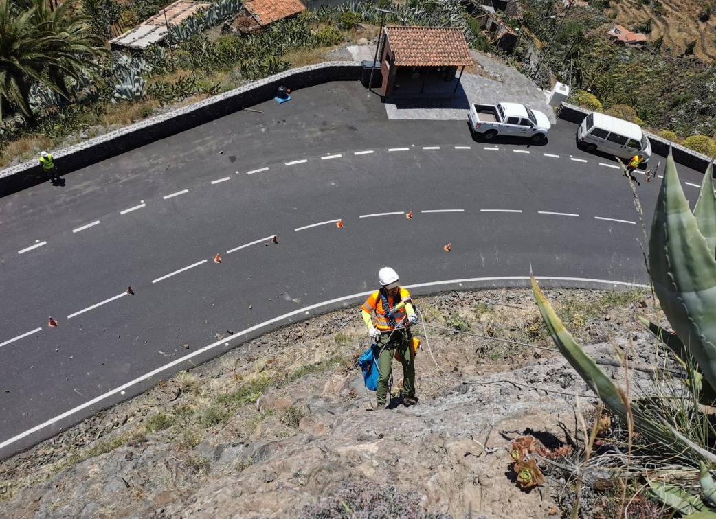 Imagen de El Cabildo refuerza las tareas de control y erradicación de flora exótica en la isla 
