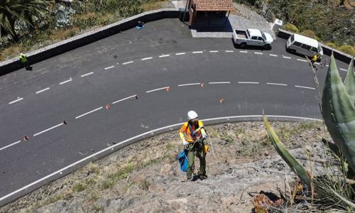 Imagen de El Cabildo refuerza las tareas de control y erradicación de flora exótica en la isla