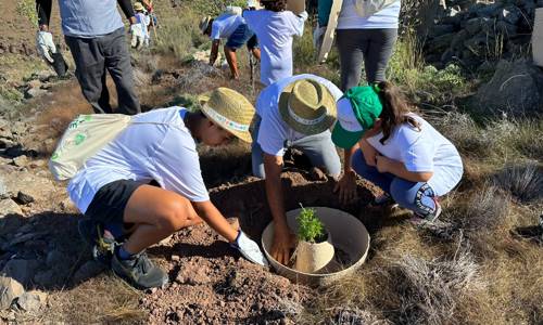Imagen de La Gomera reúne a más de un centenar de voluntarios para una jornada de plantación por el Día del Árbol