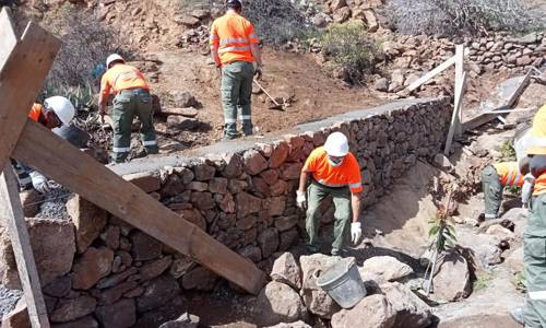 Imagen de El Cabildo refuerza la recuperación de bancales con una quincena de actuaciones