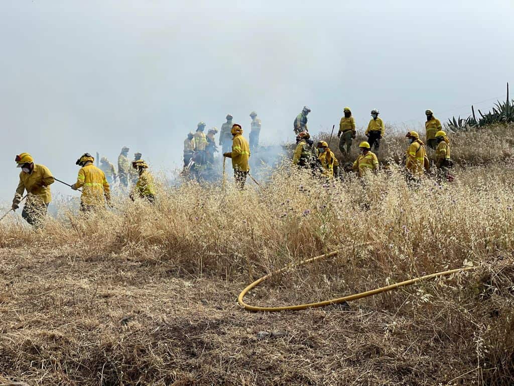 Imagen de El Cabildo pide extremar la precaución ante la declaración de alerta por riesgo de incendios
