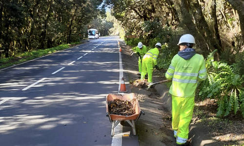 Imagen de El Cabildo refuerza el operativo de carreteras durante la Semana Santa