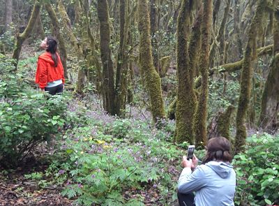Imagen de La prensa alemana elige La Gomera como destino turístico preferente