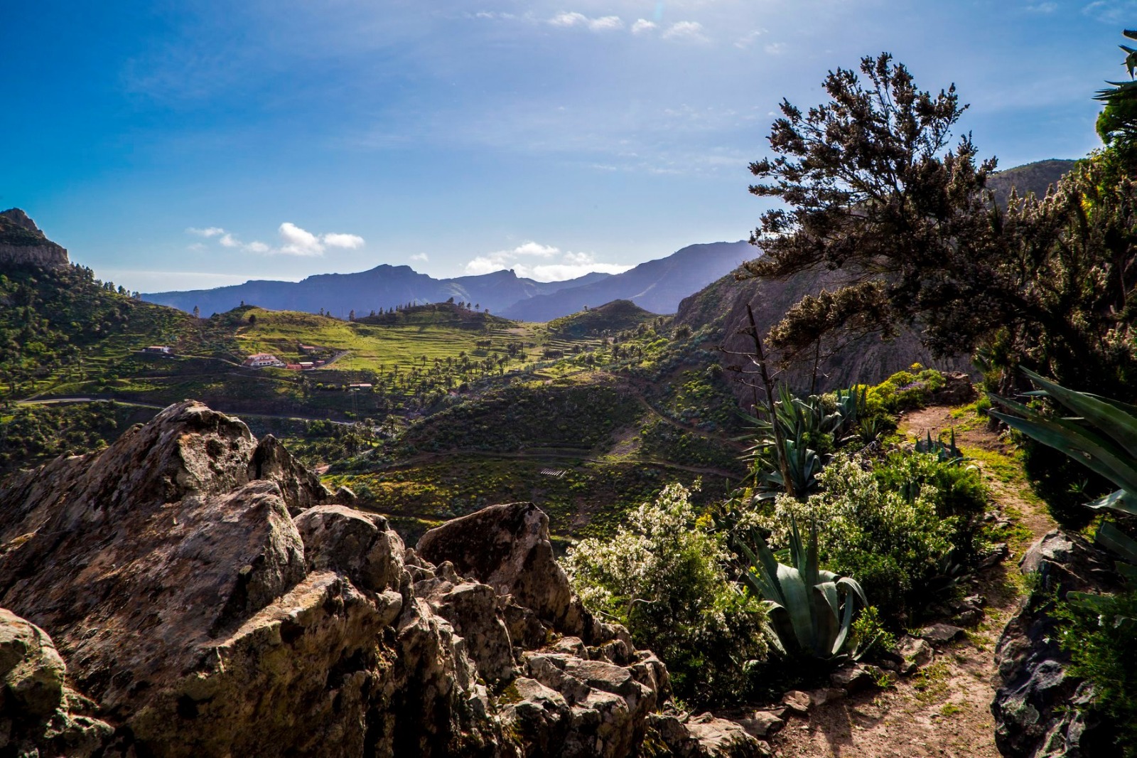 Imagen de La Gomera se integra en el Corredor Biológico Mundial