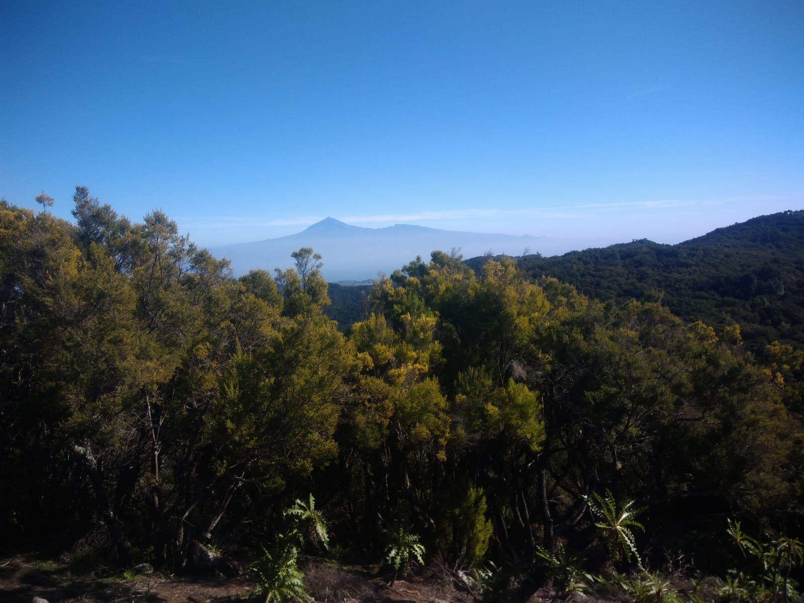 Imagen de El Cabildo de La Gomera solicita precaución ante la alerta por riesgo de incendio forestal 