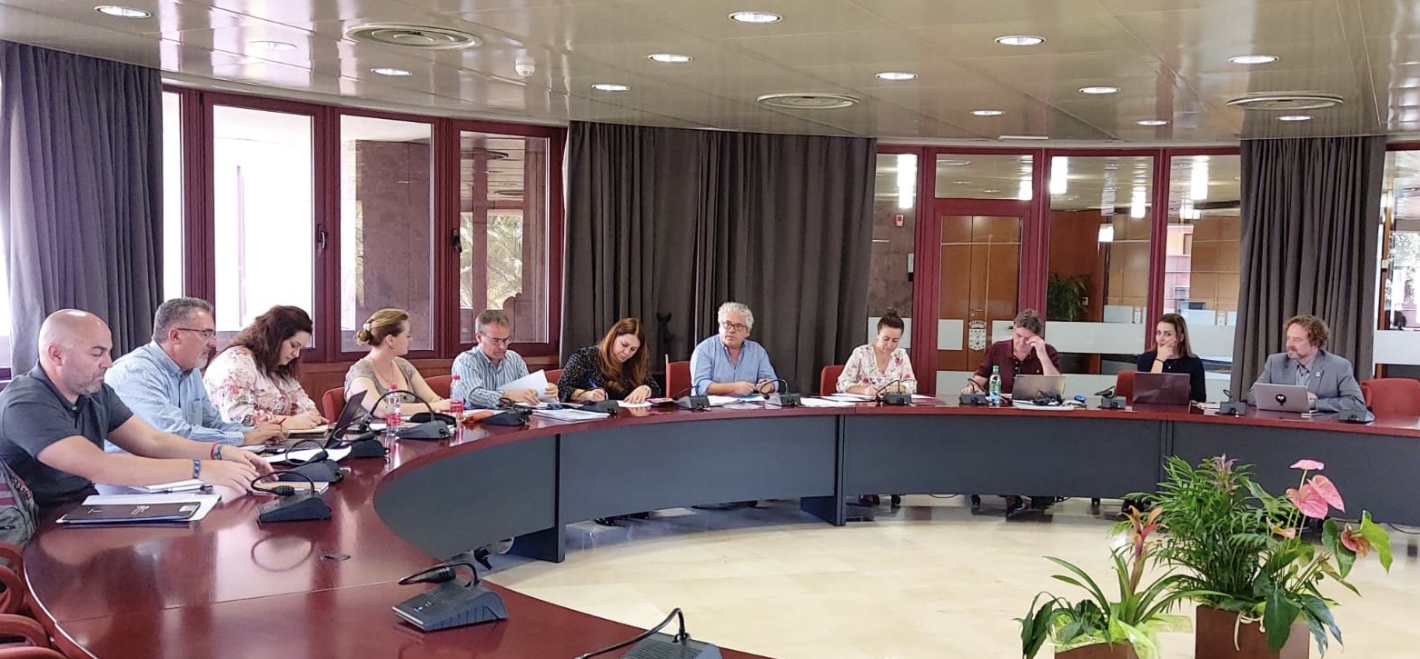 Imagen de El Cabildo coordina la planificación de medidas para el aprovechamiento sostenible de la palmera