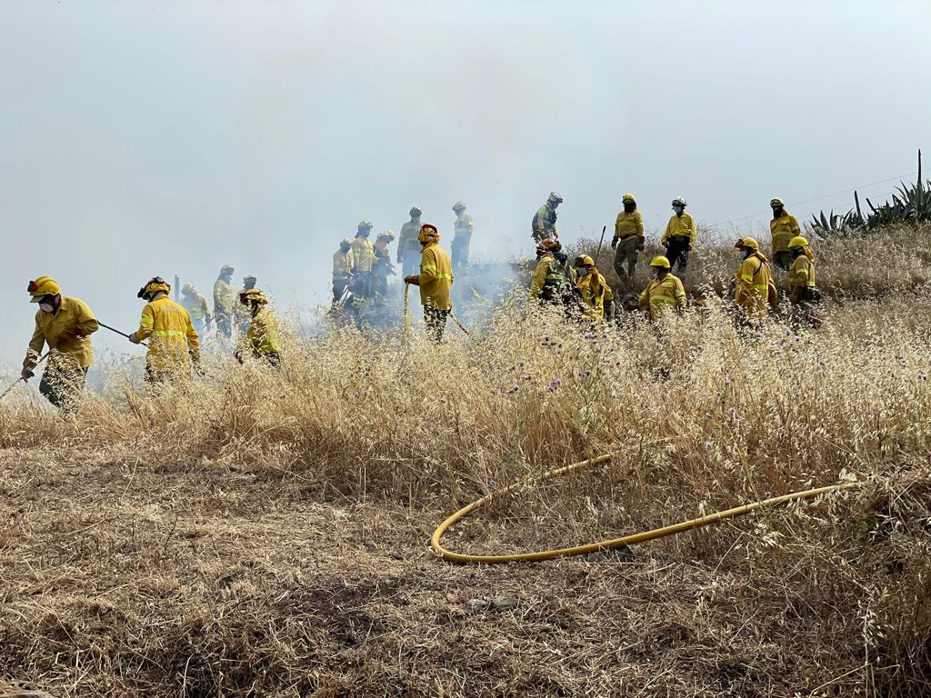 Imagen de El Cabildo intensifica la formación en materia de extinción de incendios y emergencias