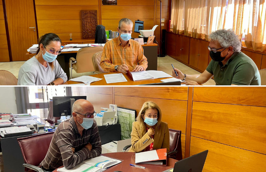 Imagen de La Gomera y Cabo Verde coordinan acciones conjuntas para la conservación de los palmerales