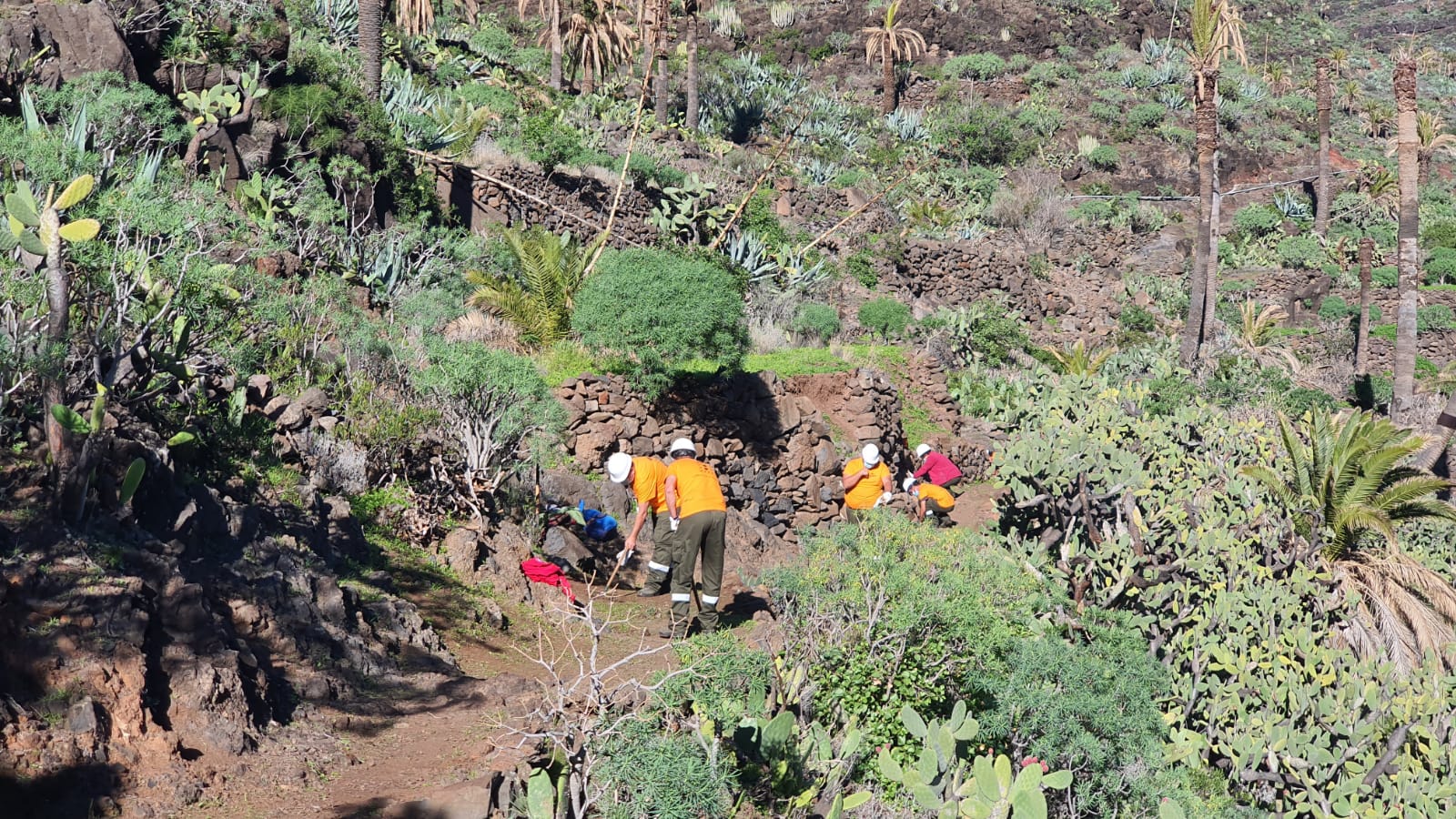 Imagen de La Gomera destina 3 millones de euros a mejoras medioambientales con la creación de más de 200 empleos