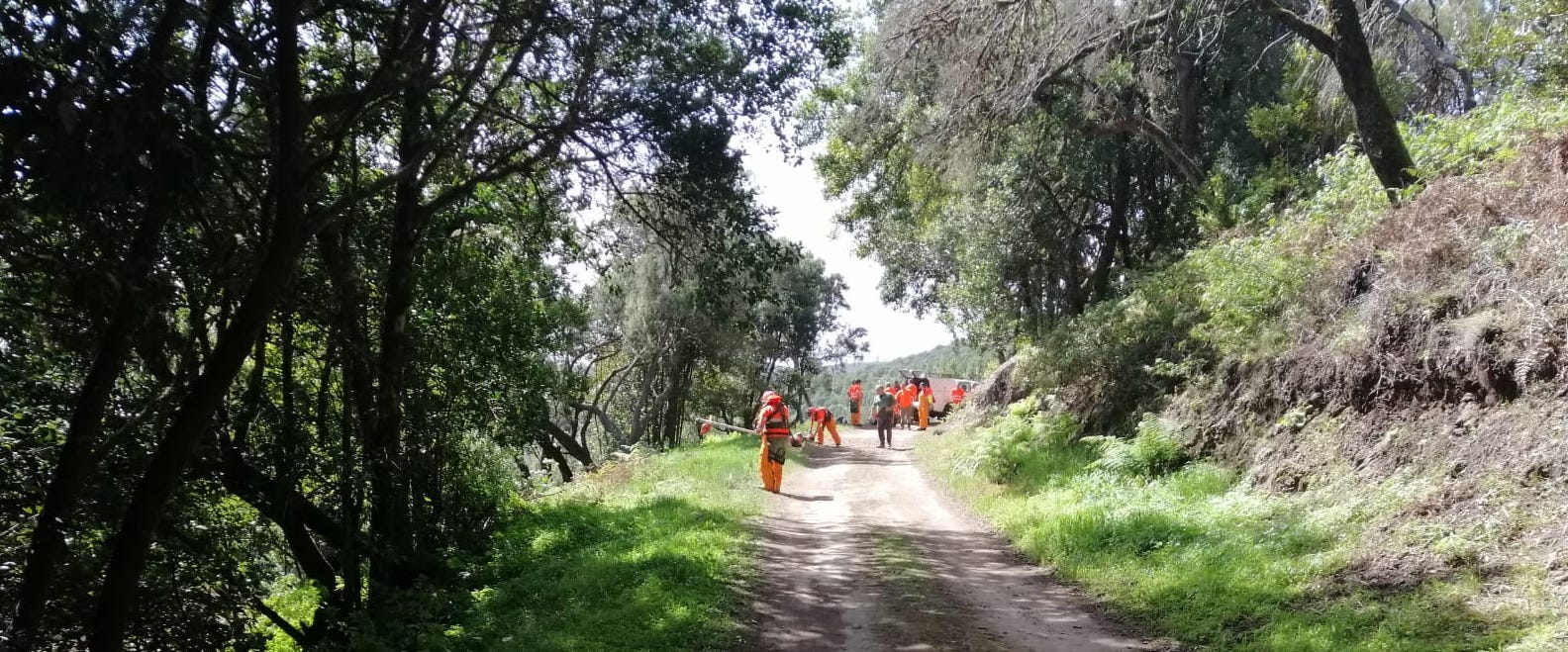Imagen de El Cabildo destina 3 millones de euros a la protección y mejora del medioambiente 
