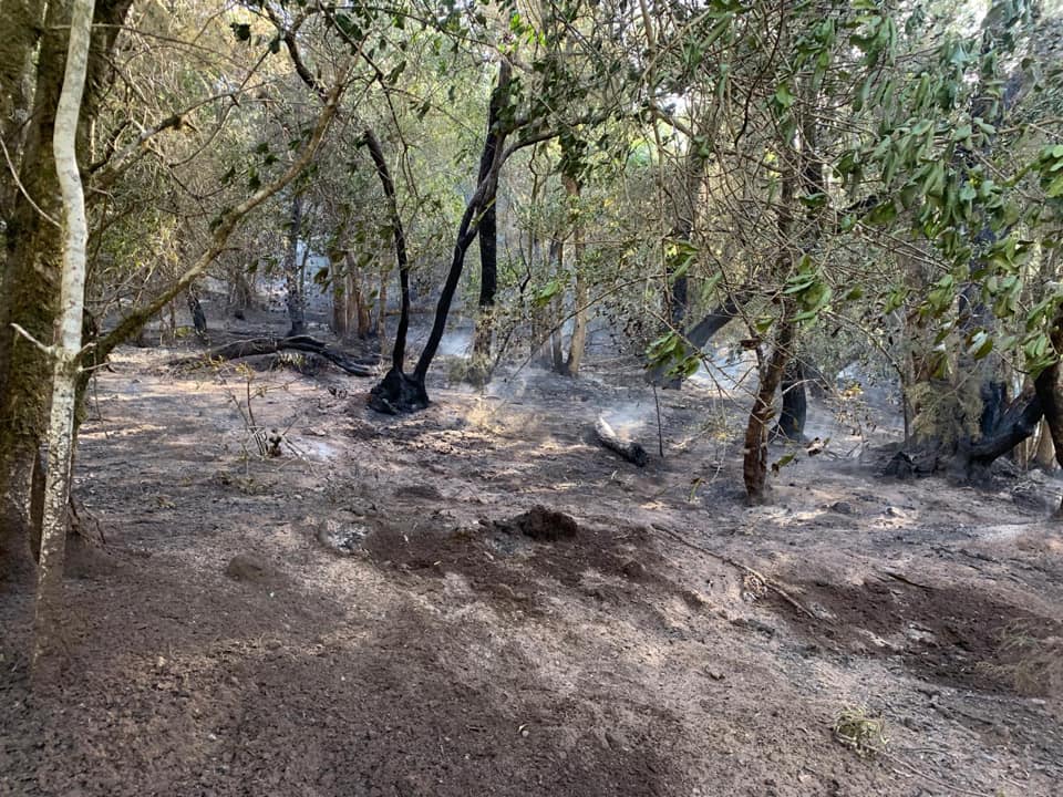 Imagen de Extinguido el conato de incendio de la zona de Las Creces
