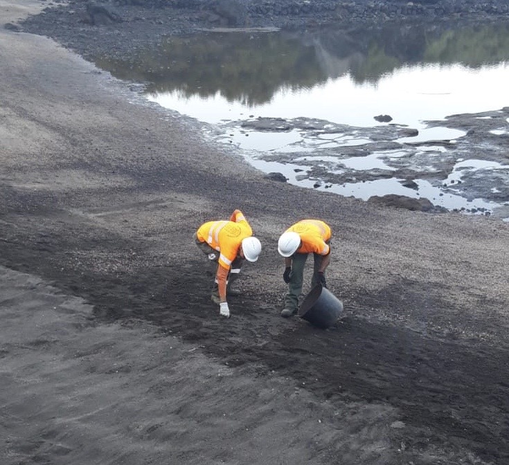 Imagen de El Cabildo realiza trabajos de limpieza y adecuación en espacios naturales de la isla