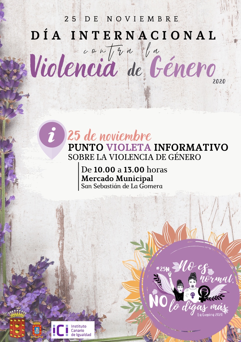 Imagen de El Cabildo presenta el programa de actos por el Día Internacional para la Eliminación de la Violencia de Género 