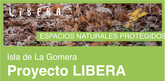 Imagen de El Cabildo y Proyecto Libera promueven una jornada formativa sobre el impacto de residuos en la naturaleza