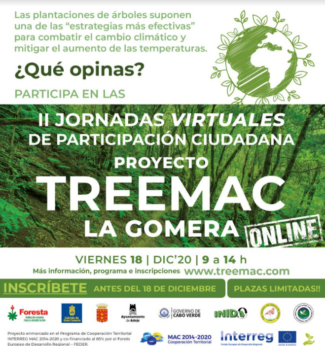 Imagen de El Cabildo oferta las últimas plazas para participar en la jornada dedicada a la gestión forestal ecológica 