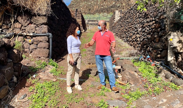 Imagen de El Cabildo recibe una treintena de solicitudes para el uso de los huertos sociales de la finca ‘El Cercado’