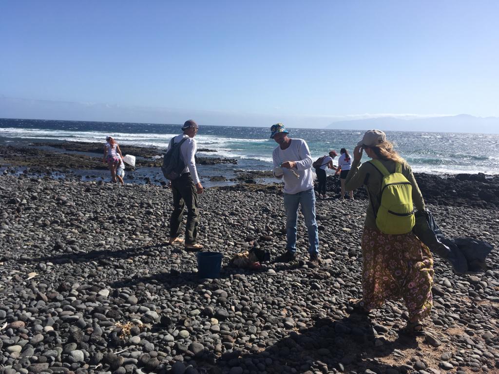 Imagen de El Cabildo y Aglayma avanzan en la limpieza del litoral de La Gomera