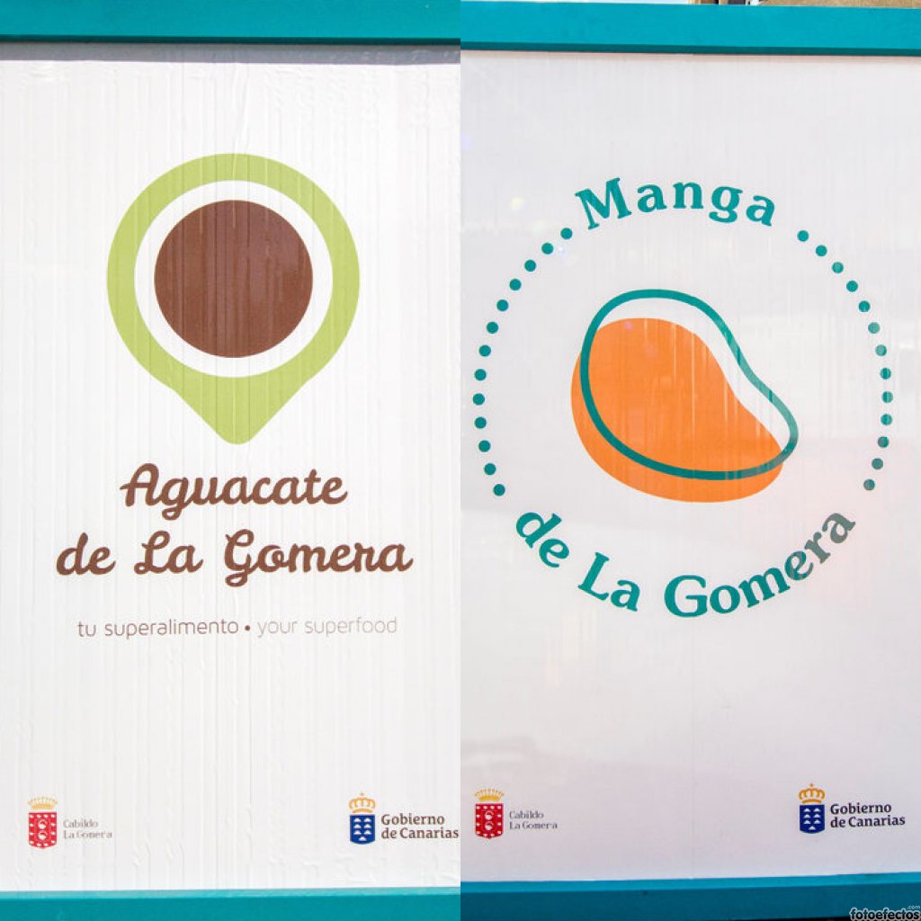 Imagen de El Cabildo potencia la comercialización del aguacate y la manga gomera con una campaña de promoción