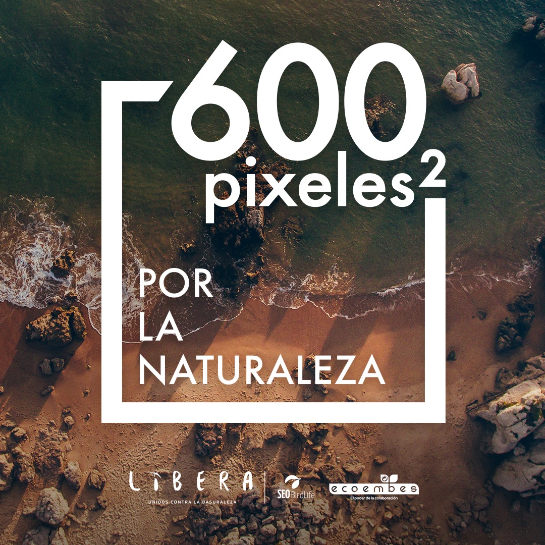 Imagen de El Cabildo anima a participar en la iniciativa Libera600px sobre la limpieza de espacios naturales 