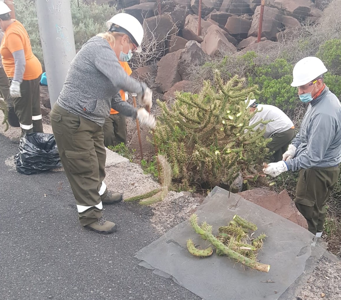 Imagen de El Cabildo refuerza el control de especies invasoras con trabajos en espacios protegidos de la isla 