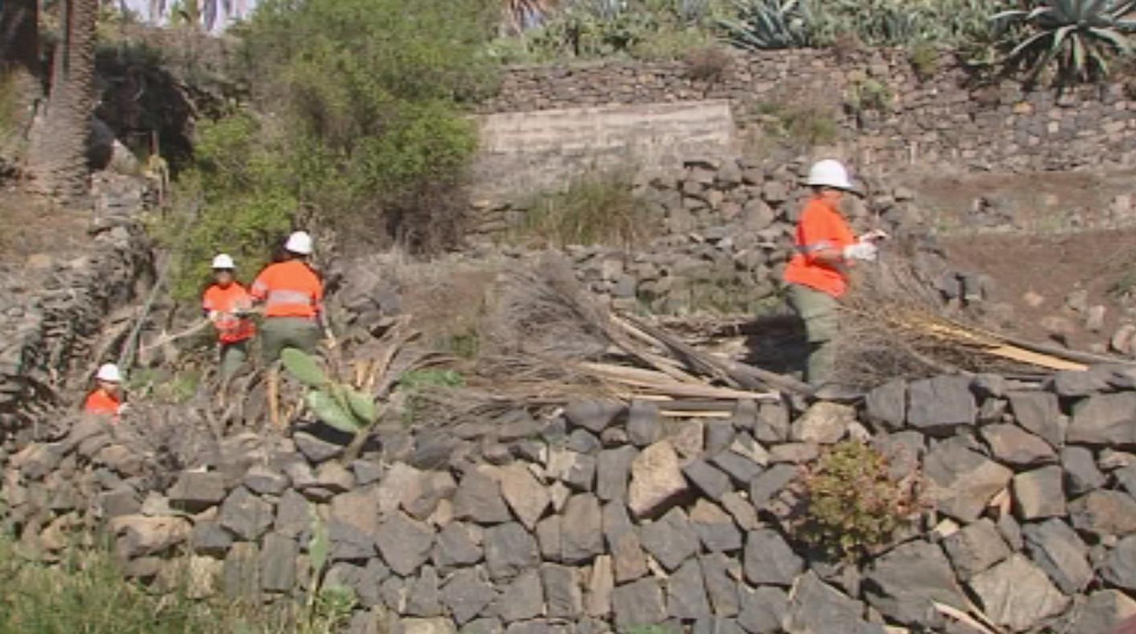 Imagen de La Gomera lanza una campaña de concienciación ciudadana para la prevención de incendios