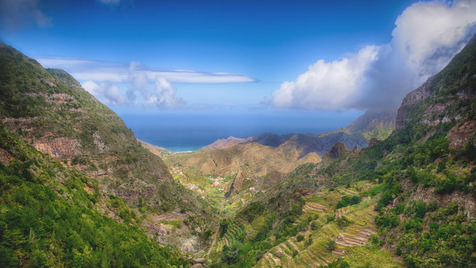 Imagen de La Gomera avanza en la elaboración de su Plan Técnico de Caza 