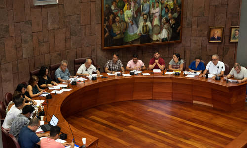 Imagen de El Cabildo exige a Endesa que asuma las pérdidas ocasionadas a particulares y empresas