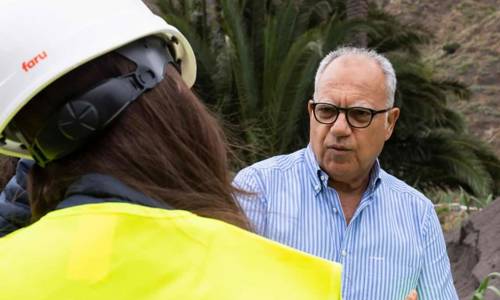Imagen de El Cabildo promueve el empleo verde con tres programas dotados de 9 millones de euros