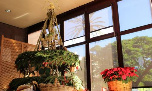 Imagen de El Cabildo inaugura su árbol de Navidad con referencias al Garajonay y la isla de La Palma