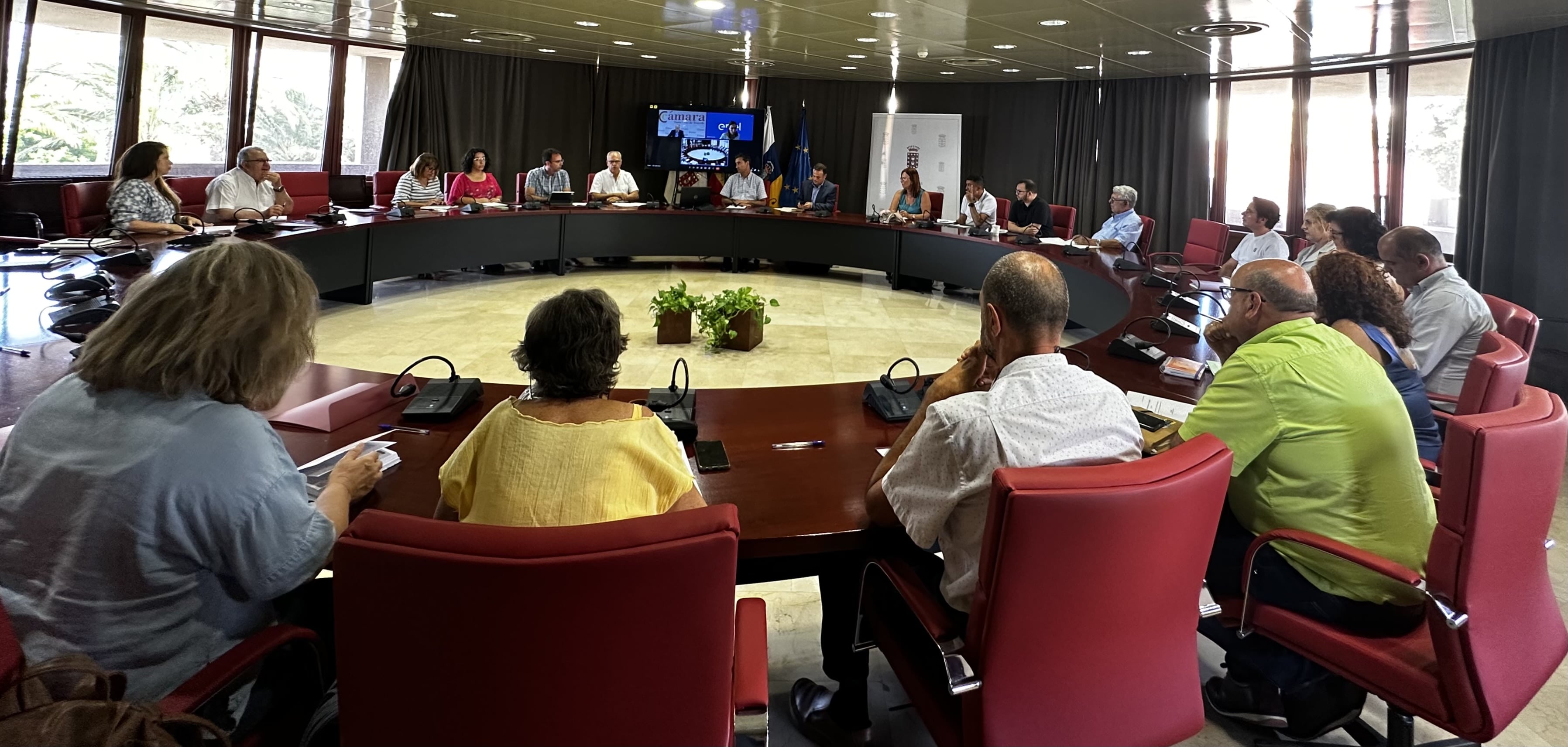 Imagen de Empresarios aúnan criterios con el Cabildo para exigir medidas de compensación a Endesa 