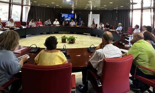 Imagen de Empresarios aúnan criterios con el Cabildo para exigir medidas de compensación a Endesa