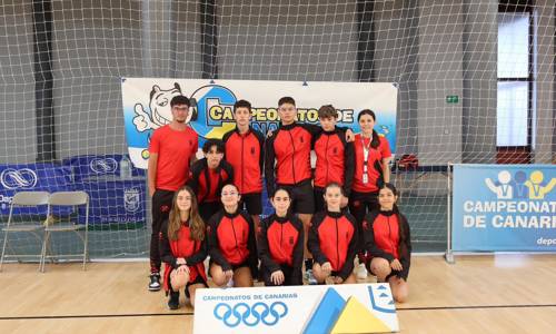 Imagen de La selección gomera de bádminton logra buenos resultados en el Campeonato de Canarias