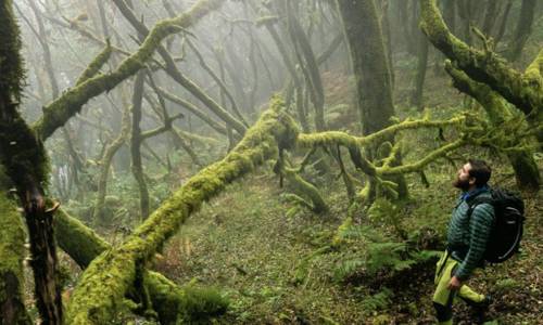 Imagen de La Gomera llega a FITUR con una apuesta renovada para consolidarse en el mercado nacional