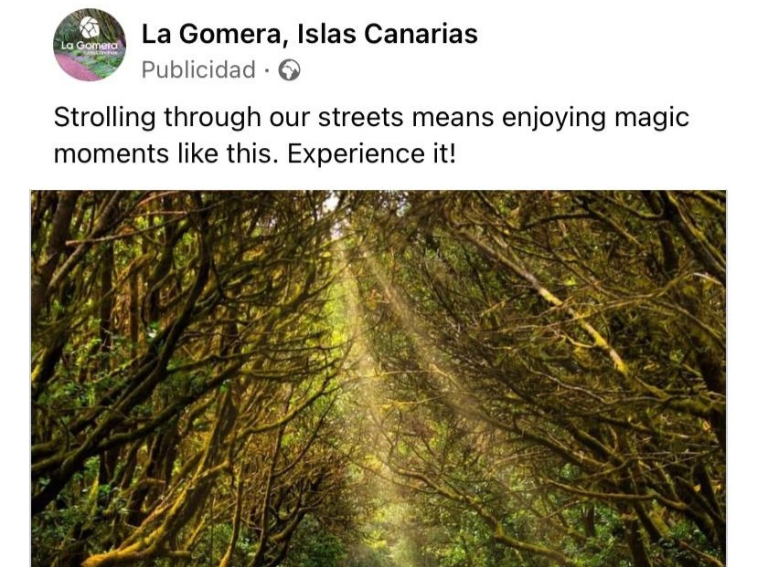 Imagen de Turismo de La Gomera intensifica sus acciones promocionales en los principales mercados emisores 