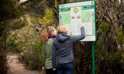 Imagen de Medios británicos especializados en viajes posicionan La Gomera como el paraíso del senderismo