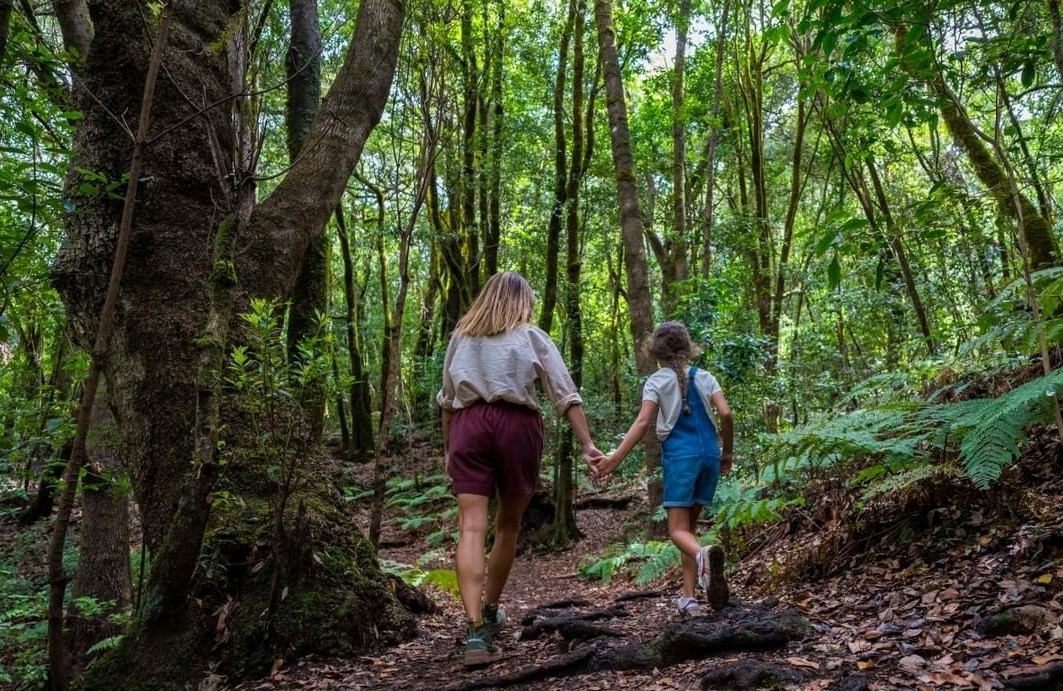 Imagen de La Gomera acuerda postularse para albergar la sede de la Agencia Europea del Turismo