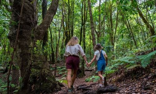 Imagen de La Gomera acuerda postularse para albergar la sede de la Agencia Europea del Turismo