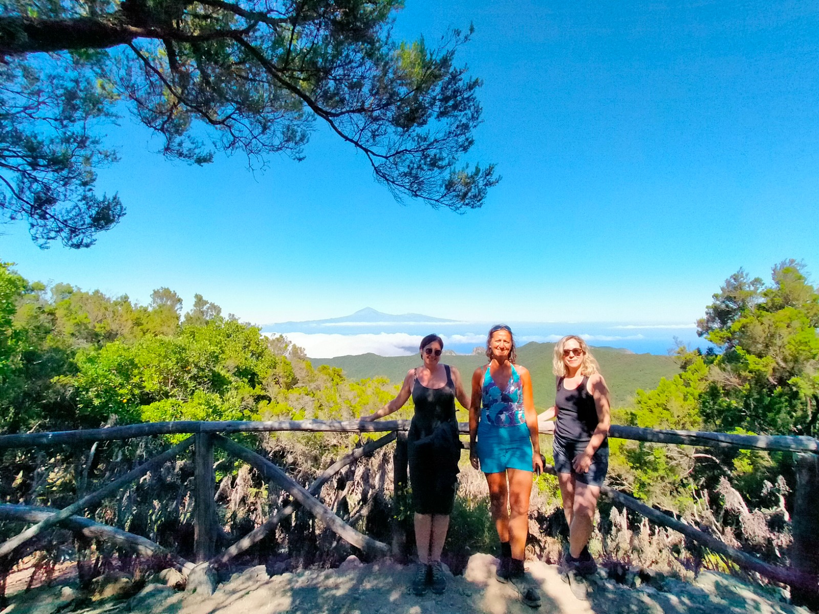 Imagen de Agentes de viajes belgas visitan La Gomera para promocionar la oferta turística de la isla